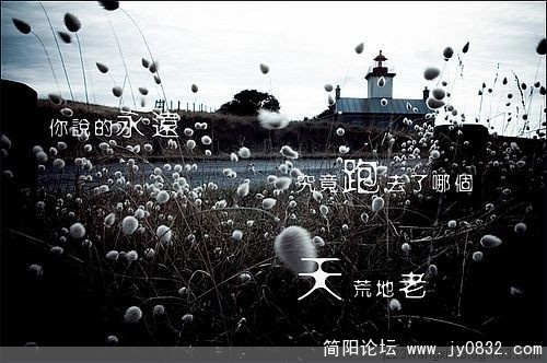 唯美50.jpg