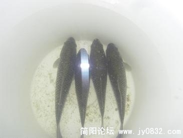 20090110_cff48a366d4c4d9cdabfHDj30r7GUywQ.jpg