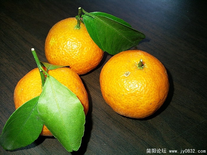 照片0022.jpg
