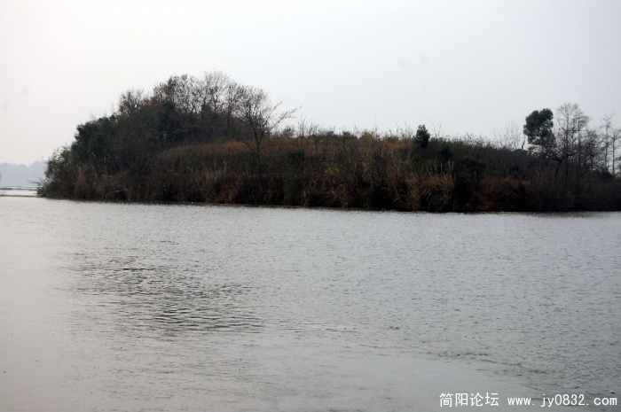 DSC_8018.JPG