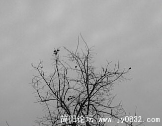 So(228)-001.jpg