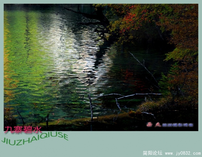 九寨碧水——12副本.jpg