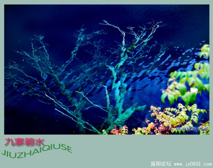 九寨碧水——02副本.jpg