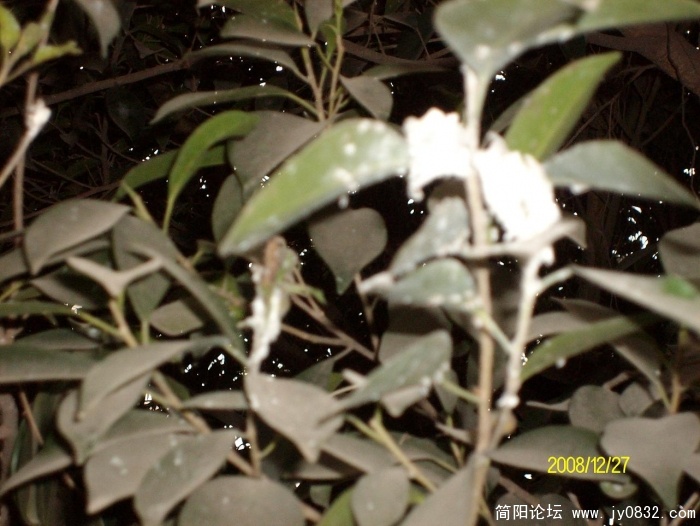 SANY0582.JPG