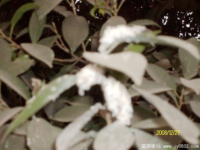 SANY0583.JPG