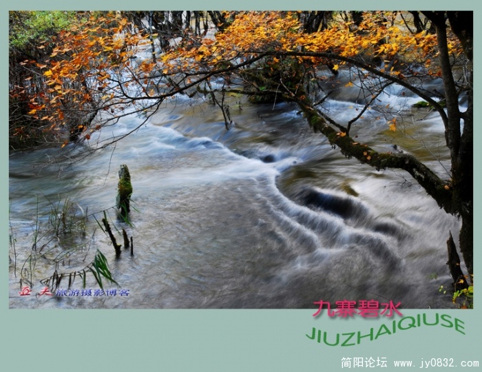 九寨碧水——07副本.jpg