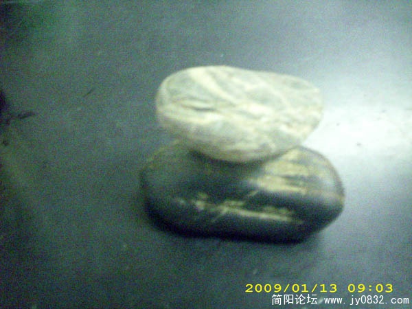 DSCI0019.jpg