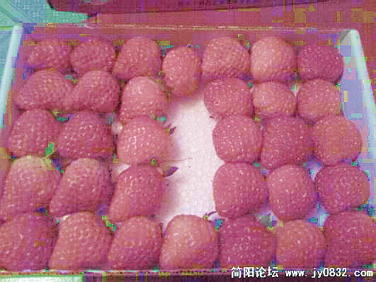 20090111_c6e5239e06ef880209dahRAzthhi4j21.jpg