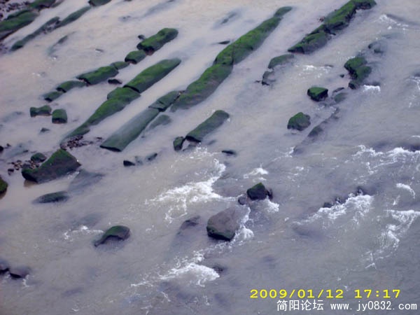 DSCI0017.jpg