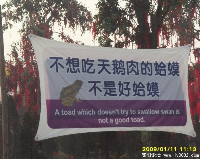 ７.jpg