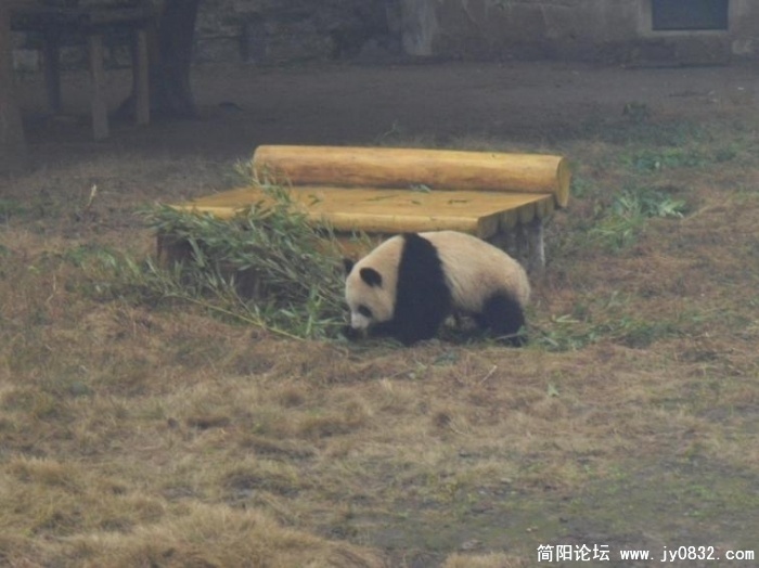20090116_37c72cb44190cadabe8dMSjk19O2NK4V.jpg