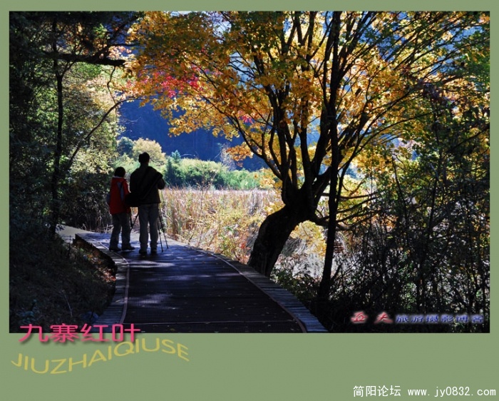 九寨红叶（四）——05副本.jpg
