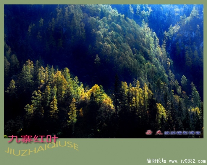 九寨红叶（四）——17副本.jpg