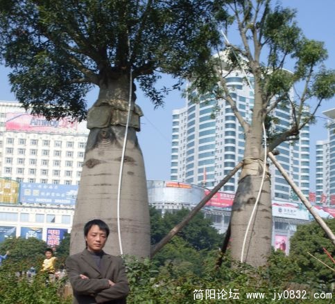 未命名.jpg