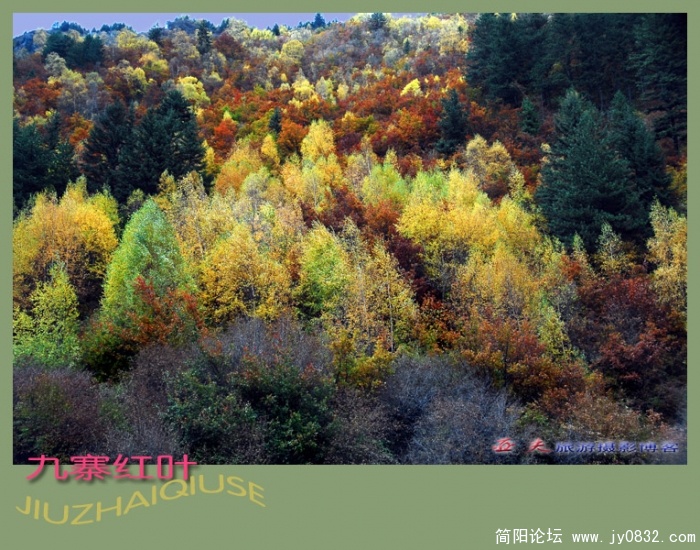 九寨红叶（四）——13副本.jpg