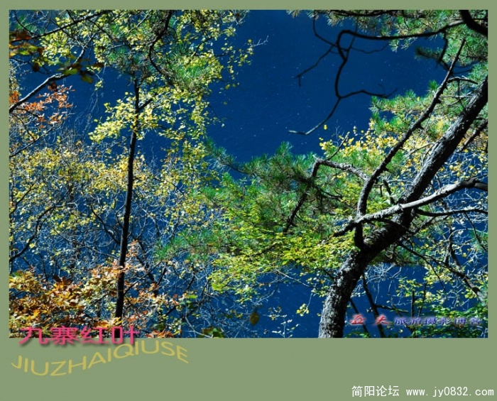 九寨红叶（四）——04副本.jpg
