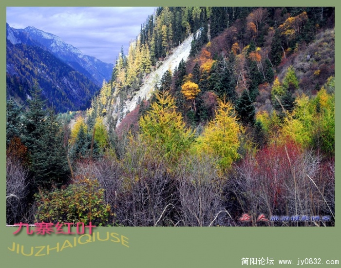 九寨红叶（四）——07副本.jpg
