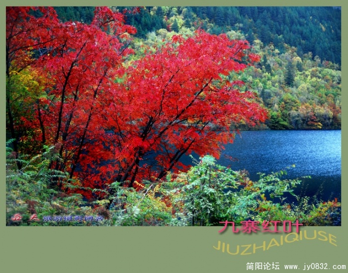 九寨红叶（四）——09副本.jpg