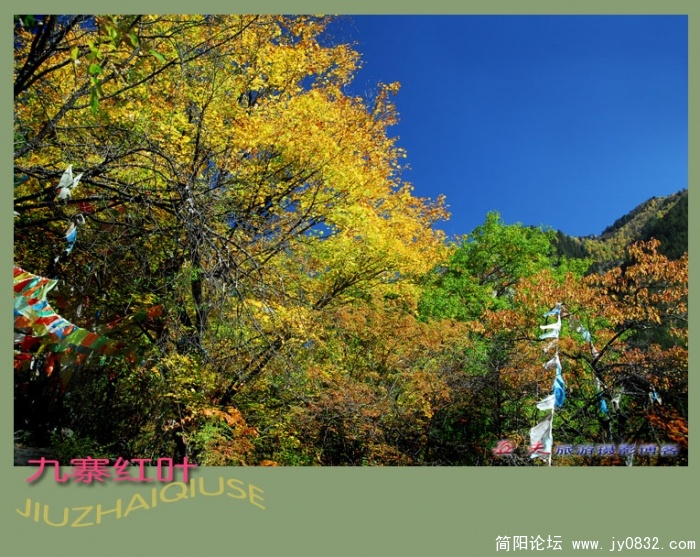 九寨红叶（四）——06副本.jpg