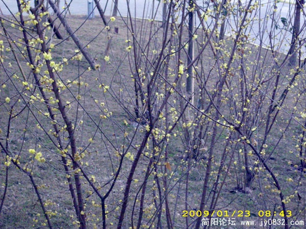 DSCI0033.jpg