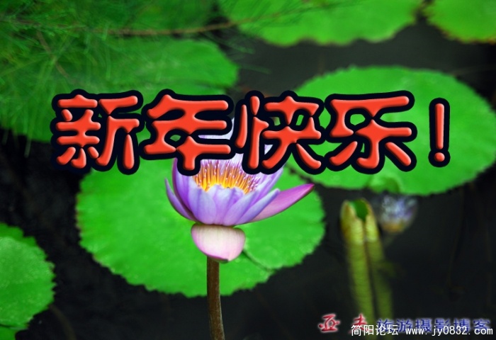 牛年祝福02副本.jpg