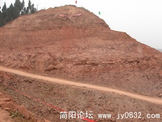 IMG_0398_调整大小.jpg