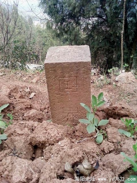 SP_A4339.jpg