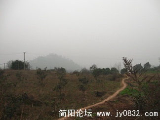 IMG_0406_调整大小.jpg