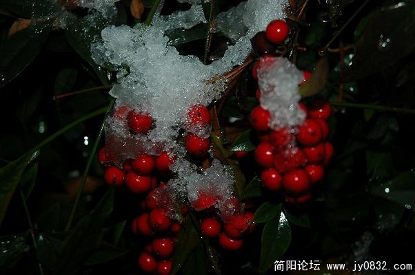 DSC_0013.JPG