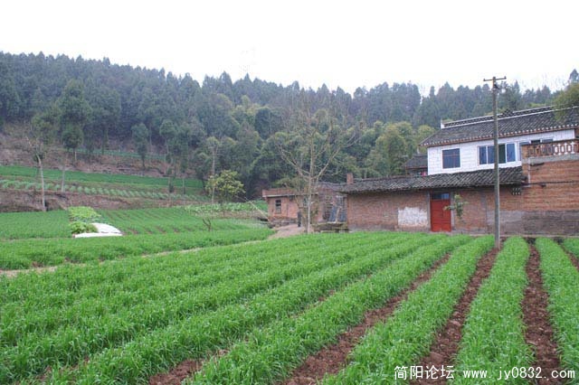 两年前再回家.JPG