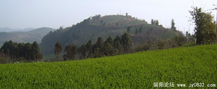 SUC54955.jpg