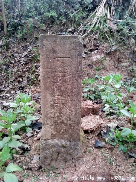 SP_A4338.jpg