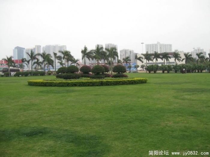 虽然是寒冷的冬天,但绿色依然!