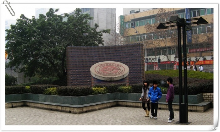 IMG_3887.jpg