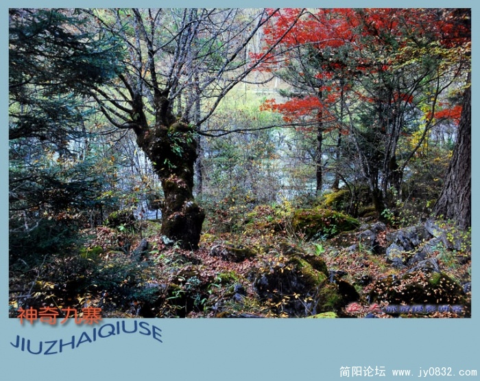 神奇九寨(四)--04副本.jpg