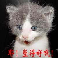 整得好哦.jpg