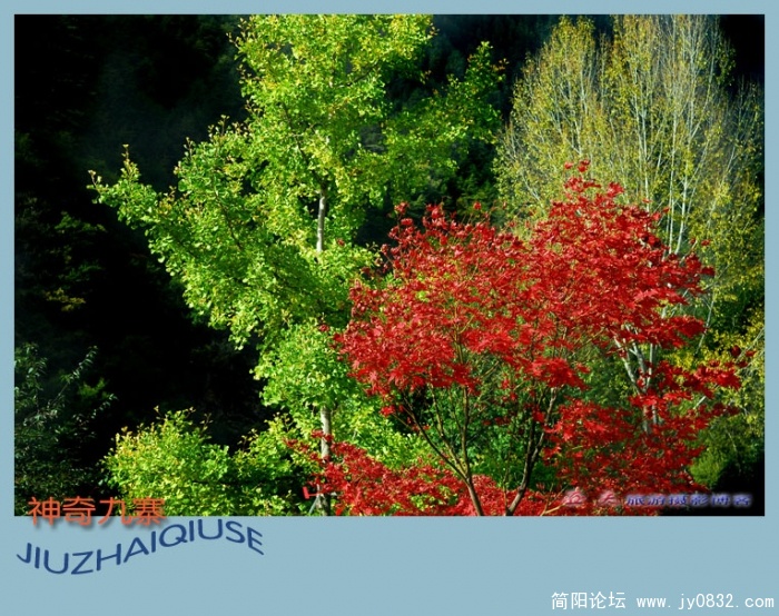 神奇九寨(四)--15副本.jpg
