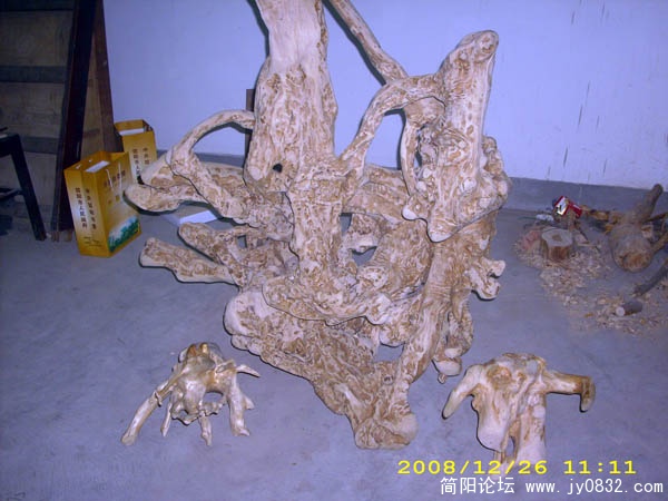 DSCI0018.jpg