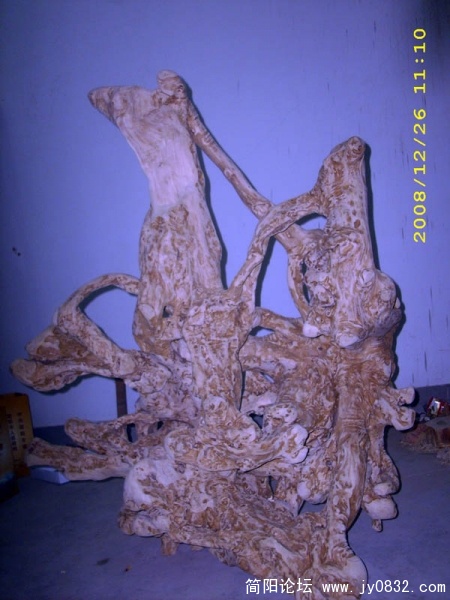 DSCI0015.jpg