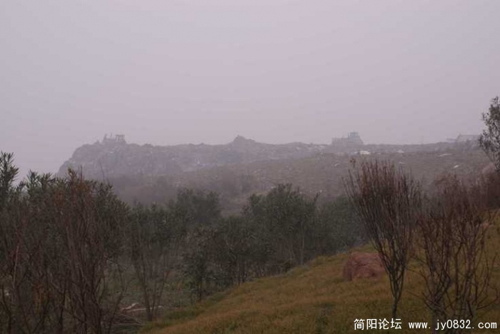 DSC01310.JPG