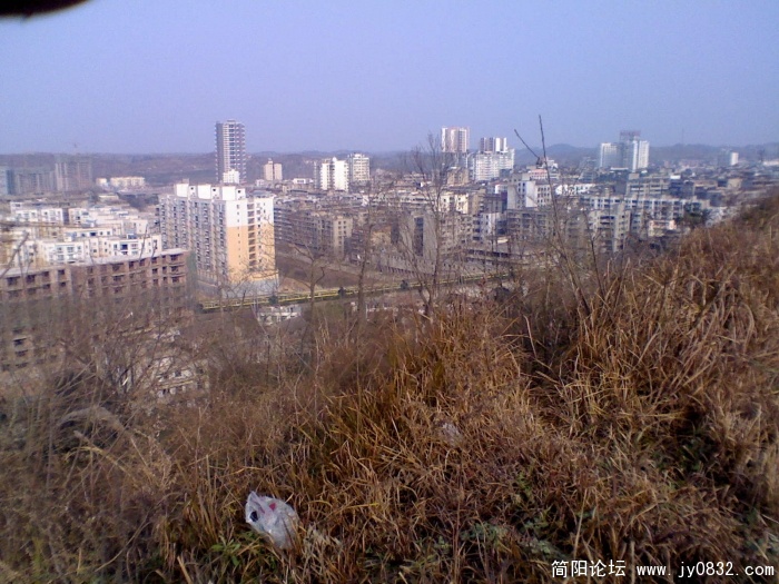 DSC_00870.jpg