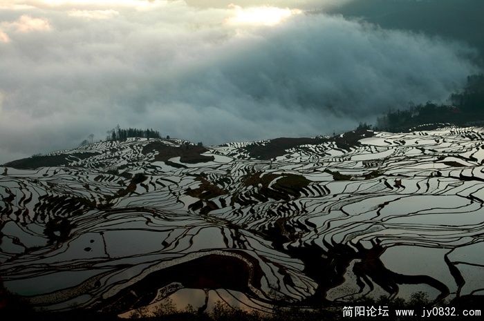 DSC_2486 拷贝.jpg