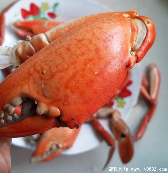 越南肉蟹图片