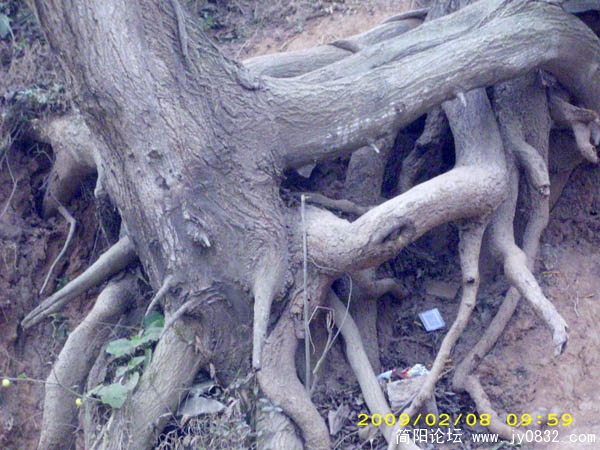 DSCI0179.jpg