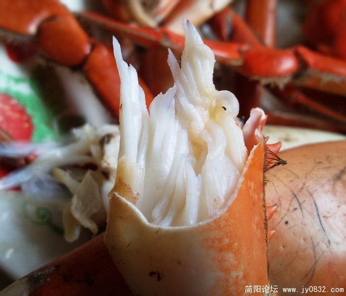越南肉蟹图片