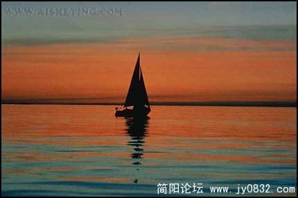 861611_0600.jpg