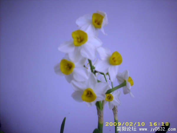DSCI0222.jpg