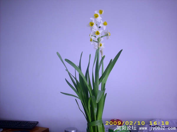 DSCI0223.jpg