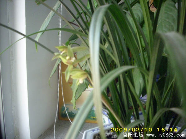 DSCI0220.jpg