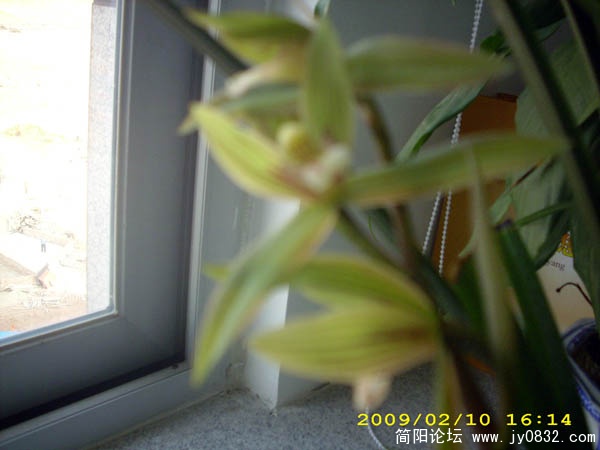 DSCI0219.jpg